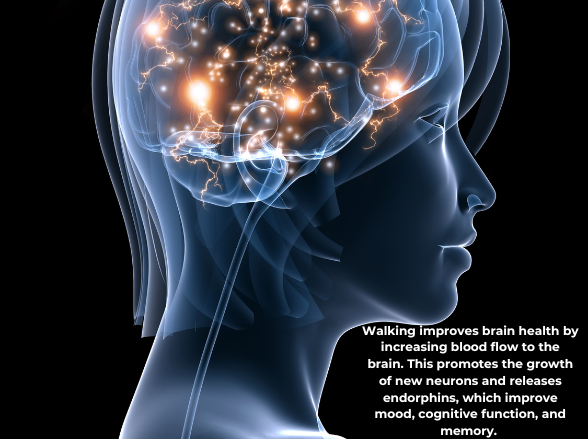 Walking improves brain health